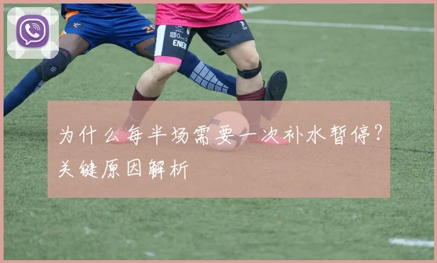 为什么每半场需要一次补水暂停?关键原因解析